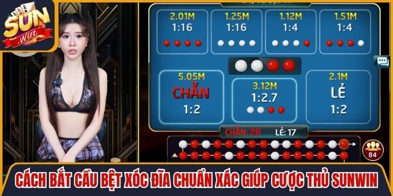 Cách Bắt Cầu Bệt Xóc Đĩa