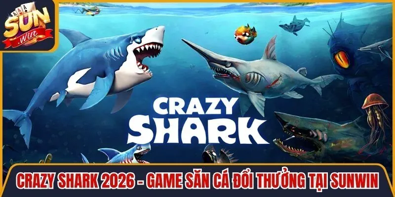 Crazy Shark 2026